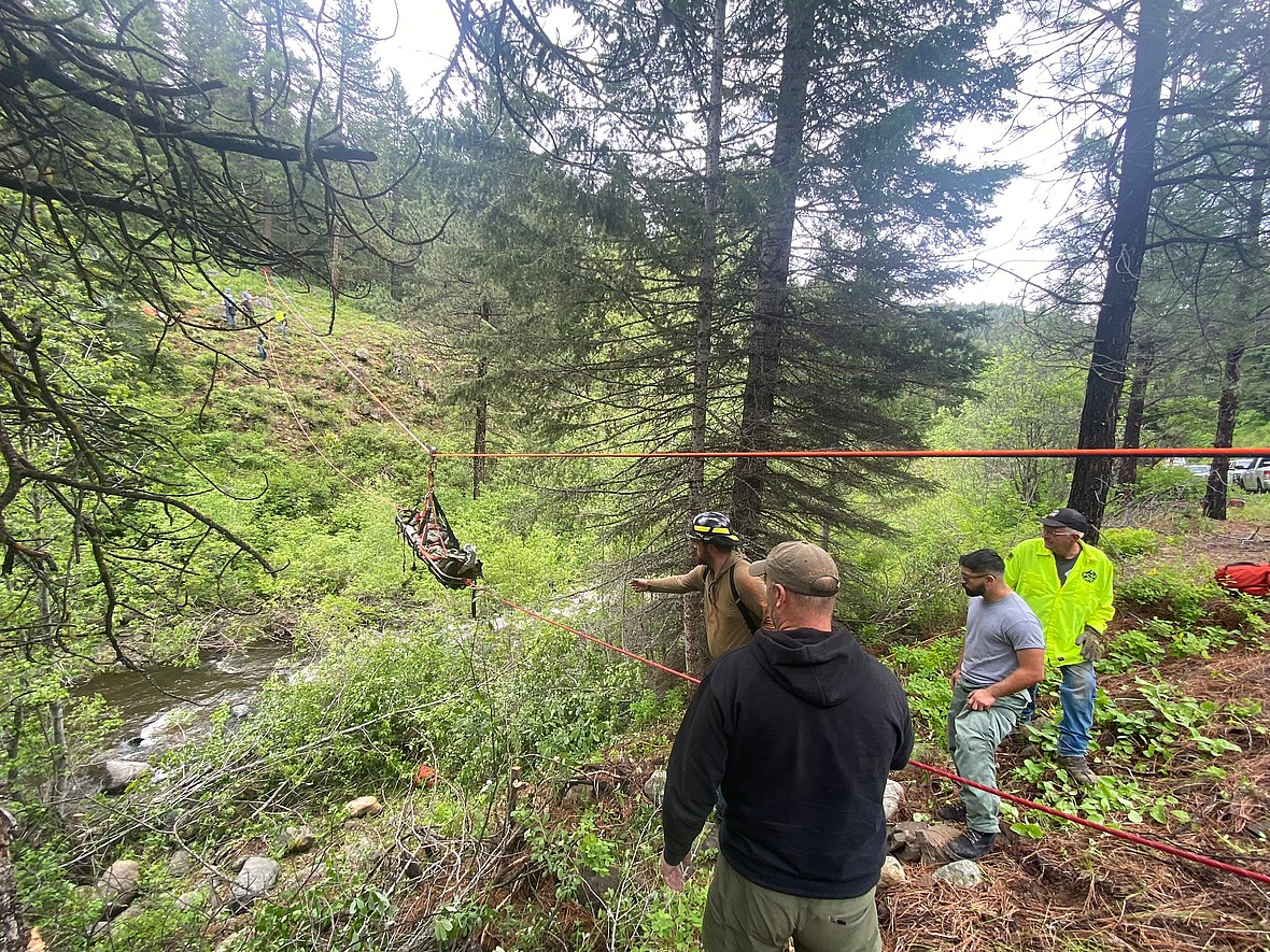 The Hero Dog Who Ran 4 Miles to Find Help for His Owner After Car Crash