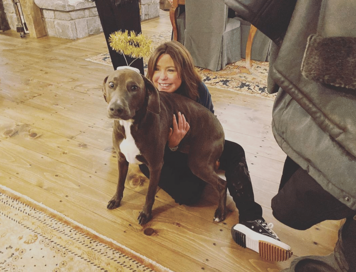 Celebrities Own Pitbulls - Rachael Ray