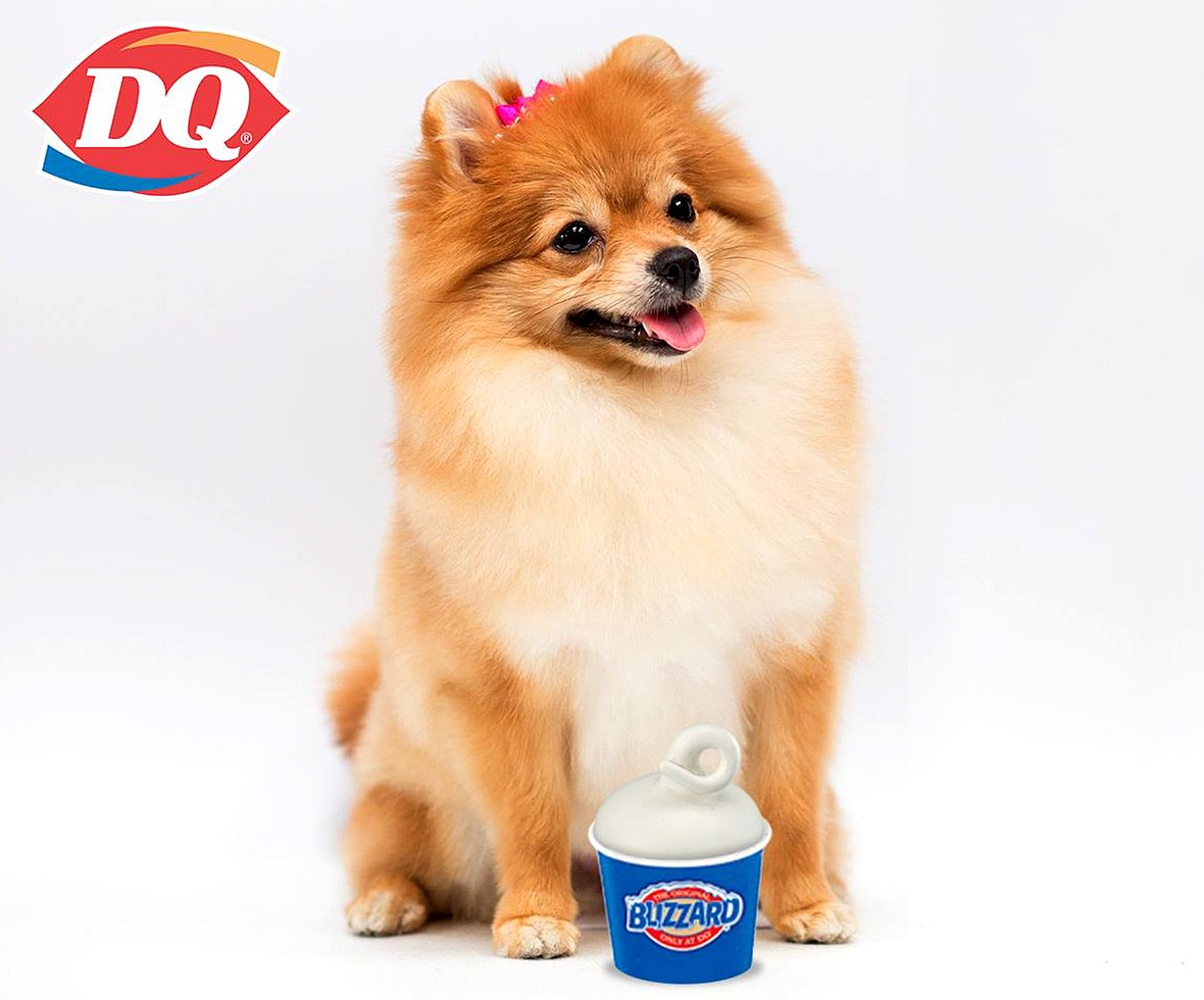 Dairy Queen pup cup