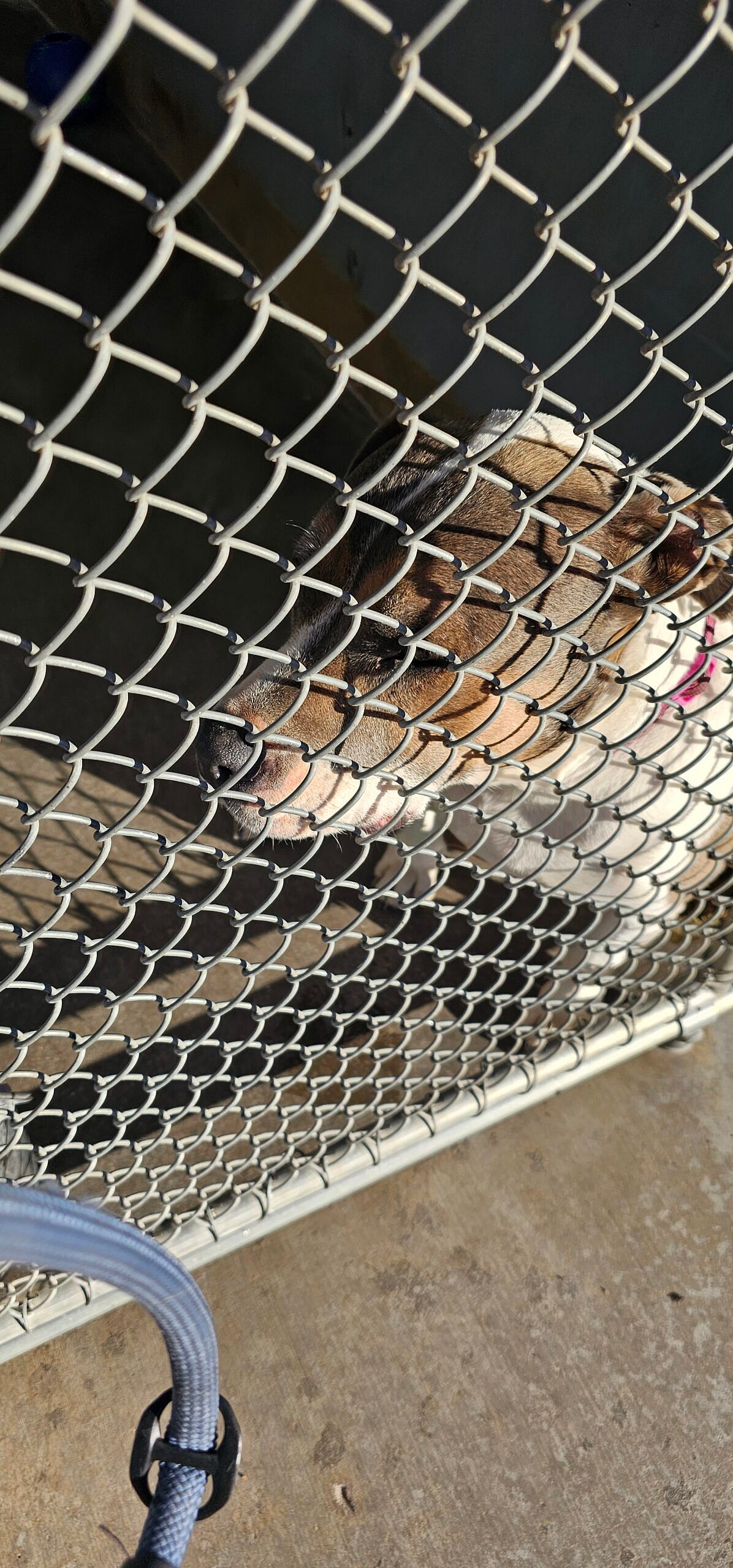 Sally waiting over 820 Days