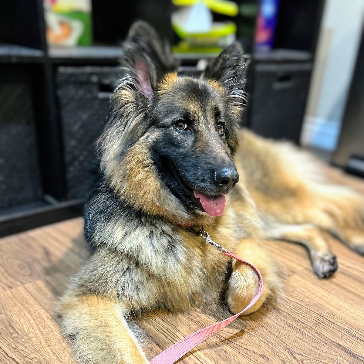 Kiko