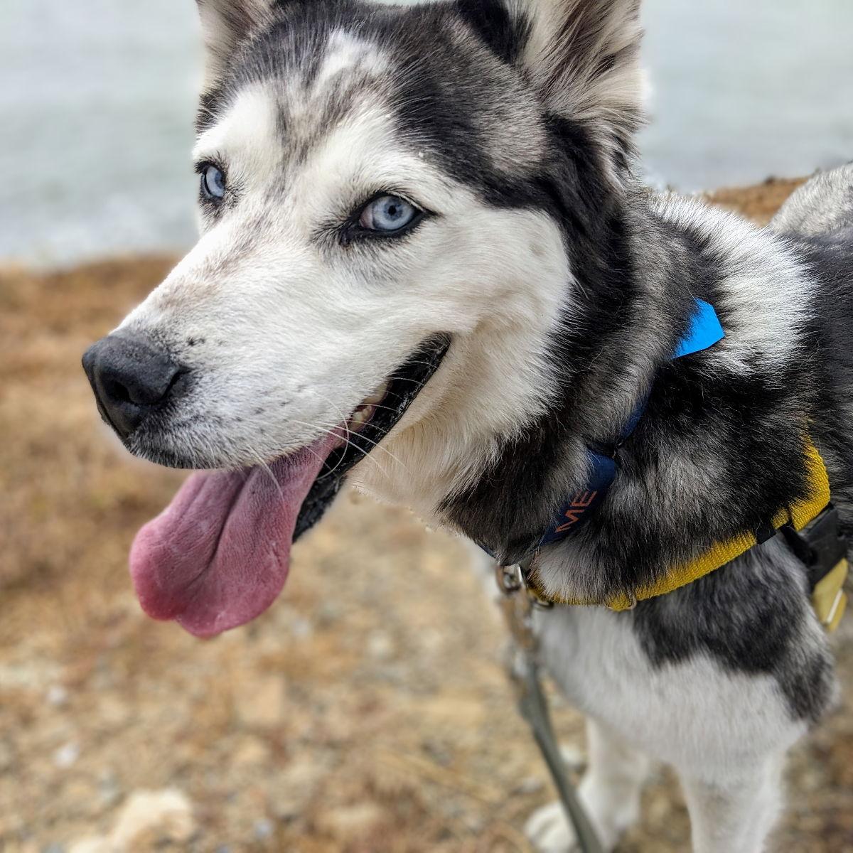Juneau