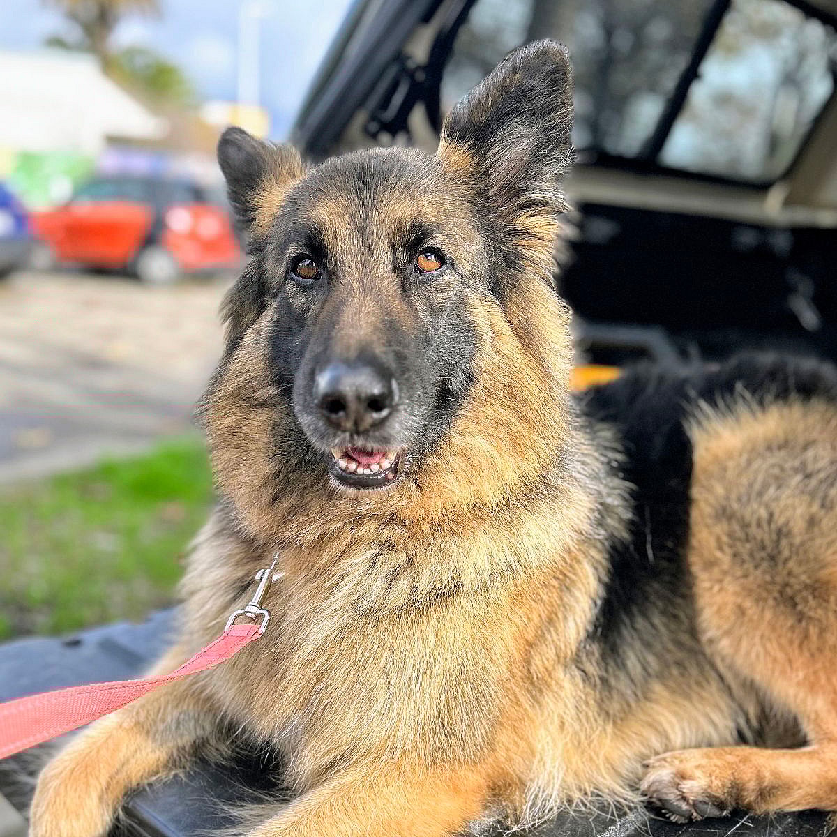 Kiko