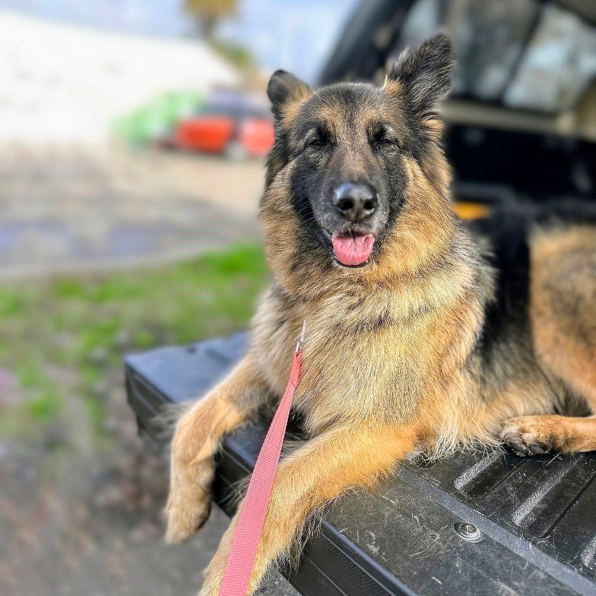 Kiko