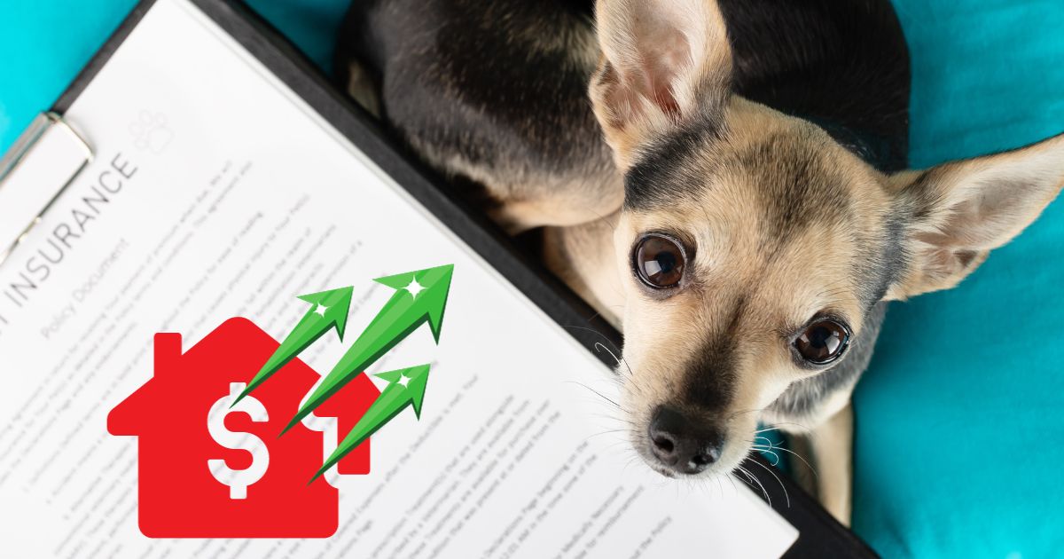 Aggressive Dog Insurance: Protect Your Pet and Finances