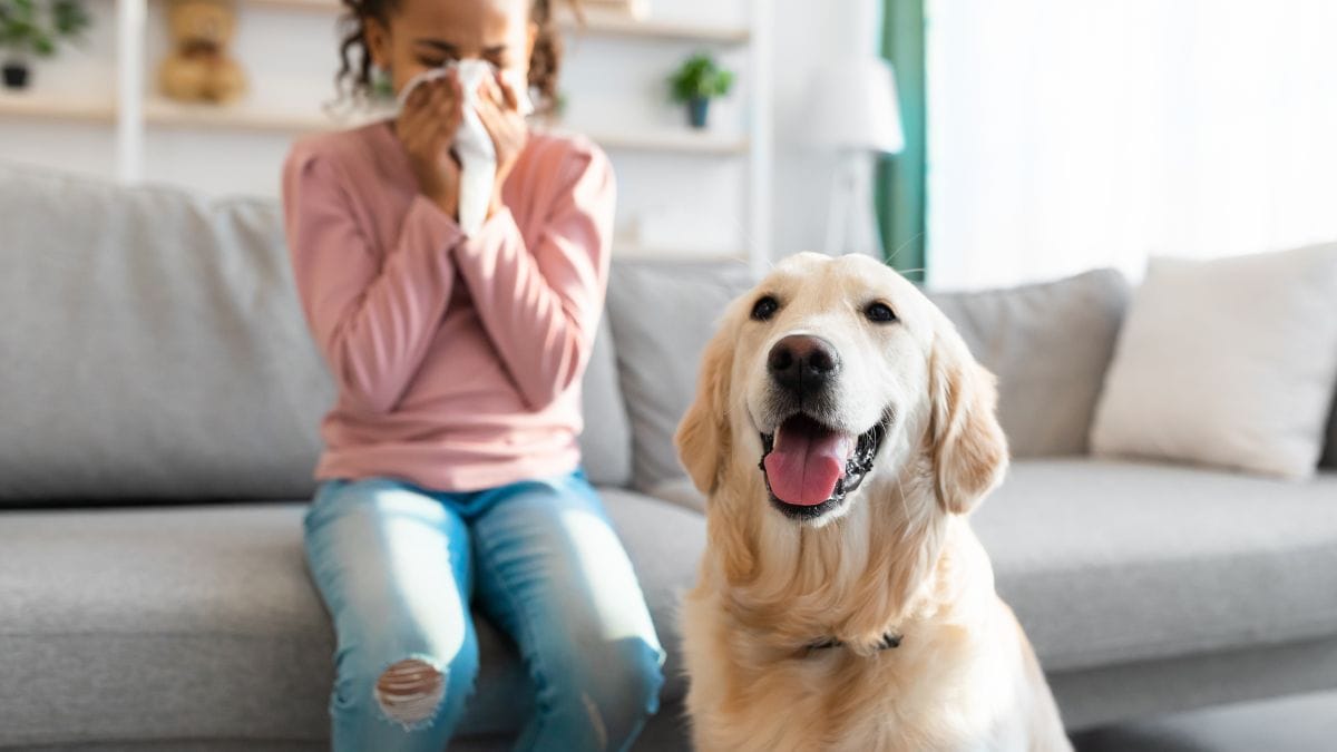 girl allercig to dog