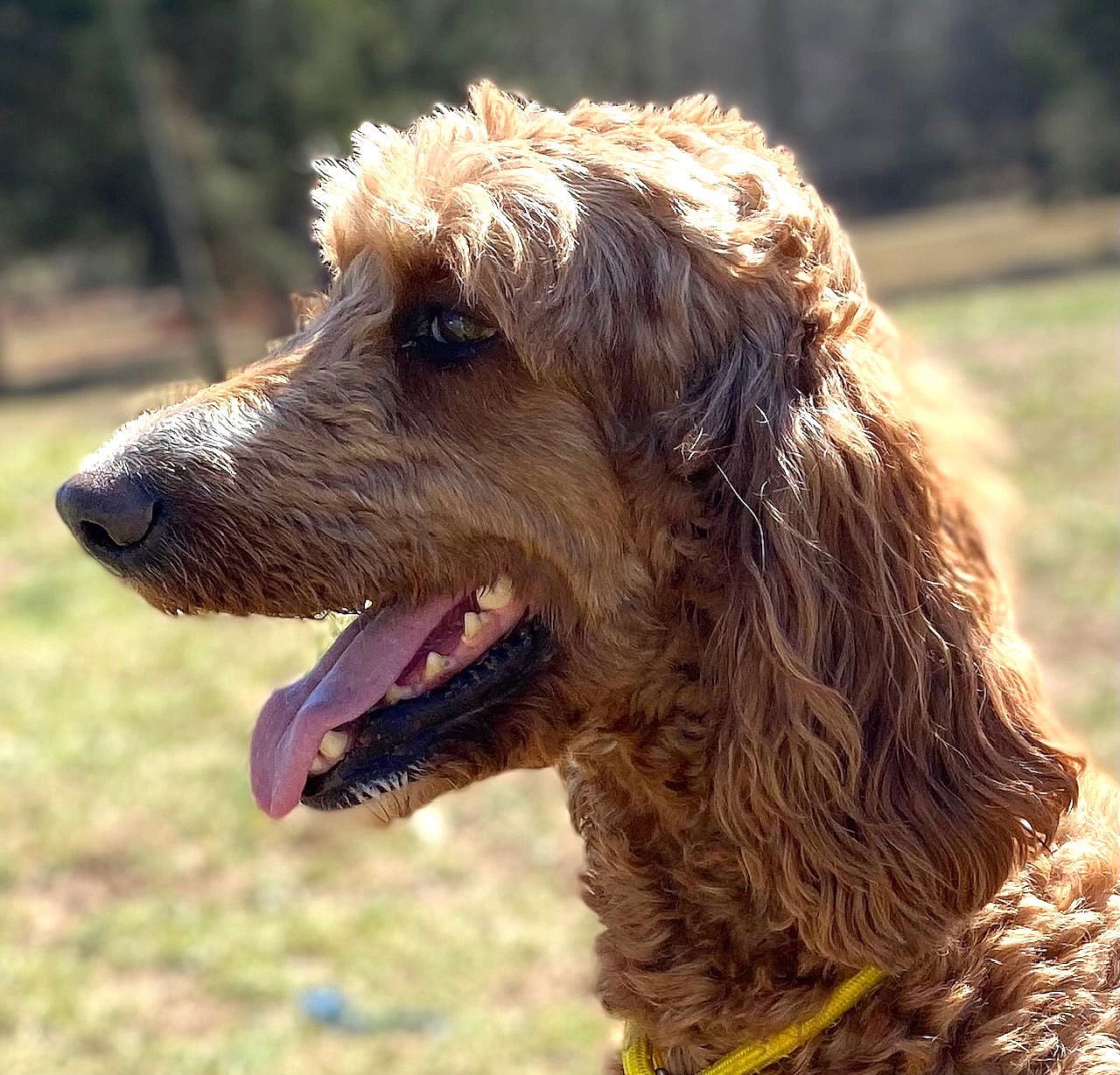 Lady Bug Autumn Jan 25