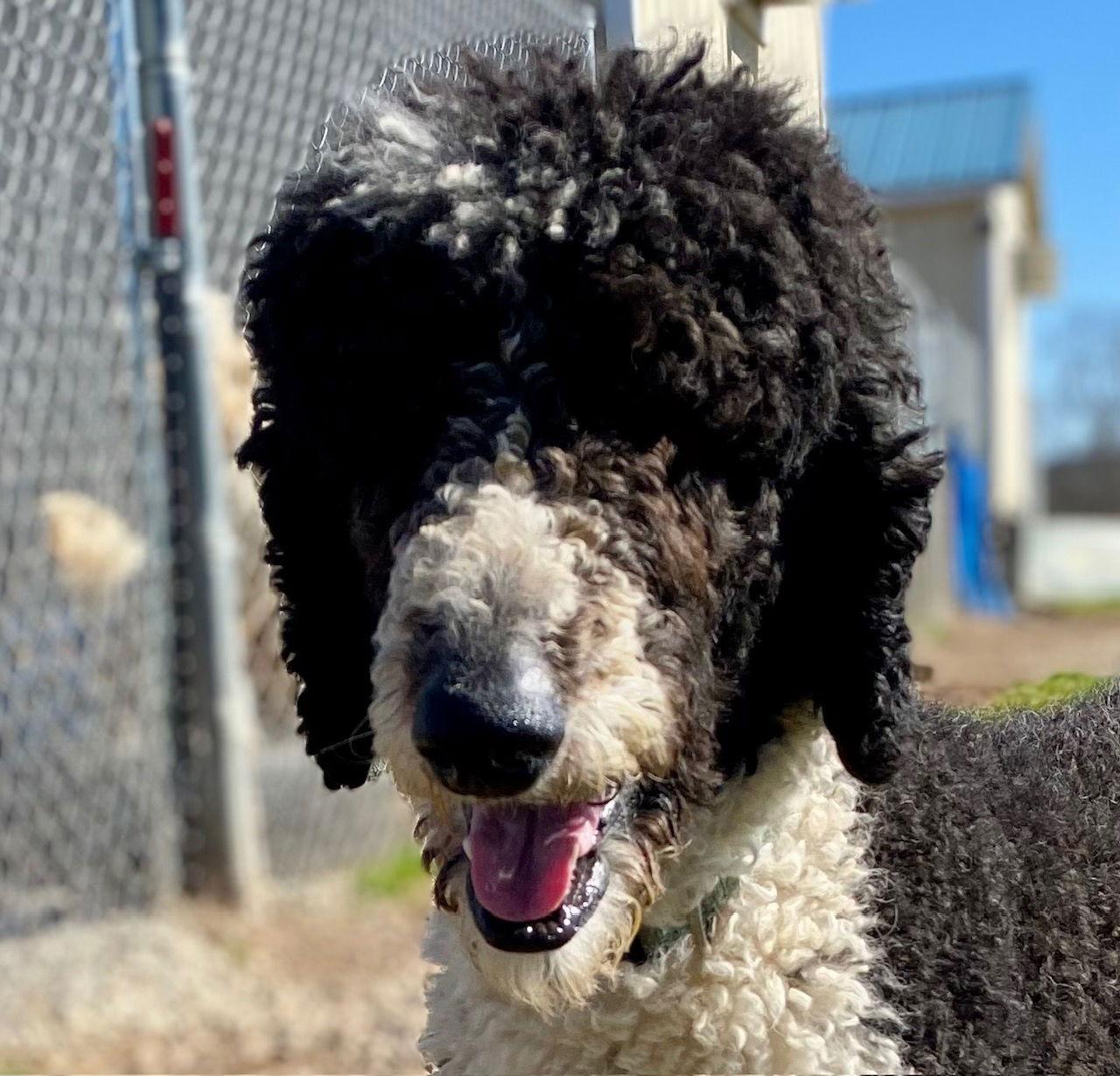 Roscoe Feb 25
