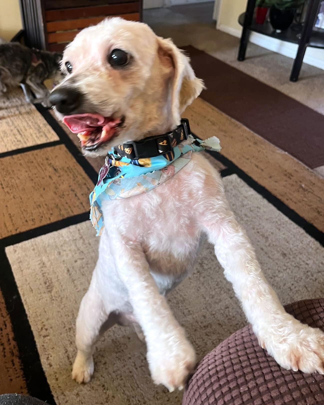 Harvey
