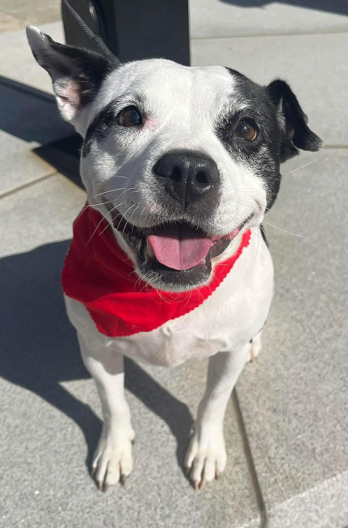 Lelu *TRANSPORTATION AVAILABLE*