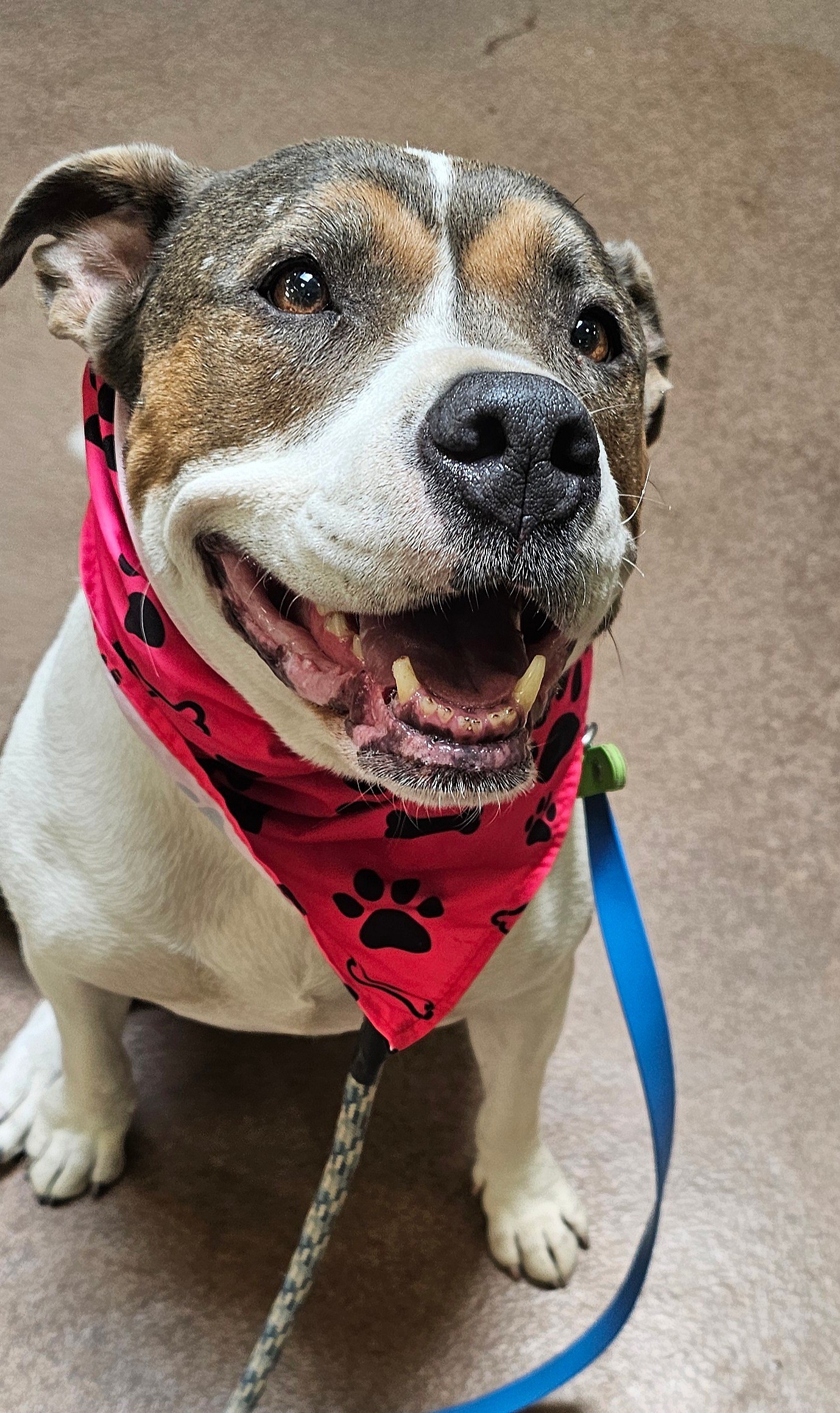 Sally waiting over 820 Days