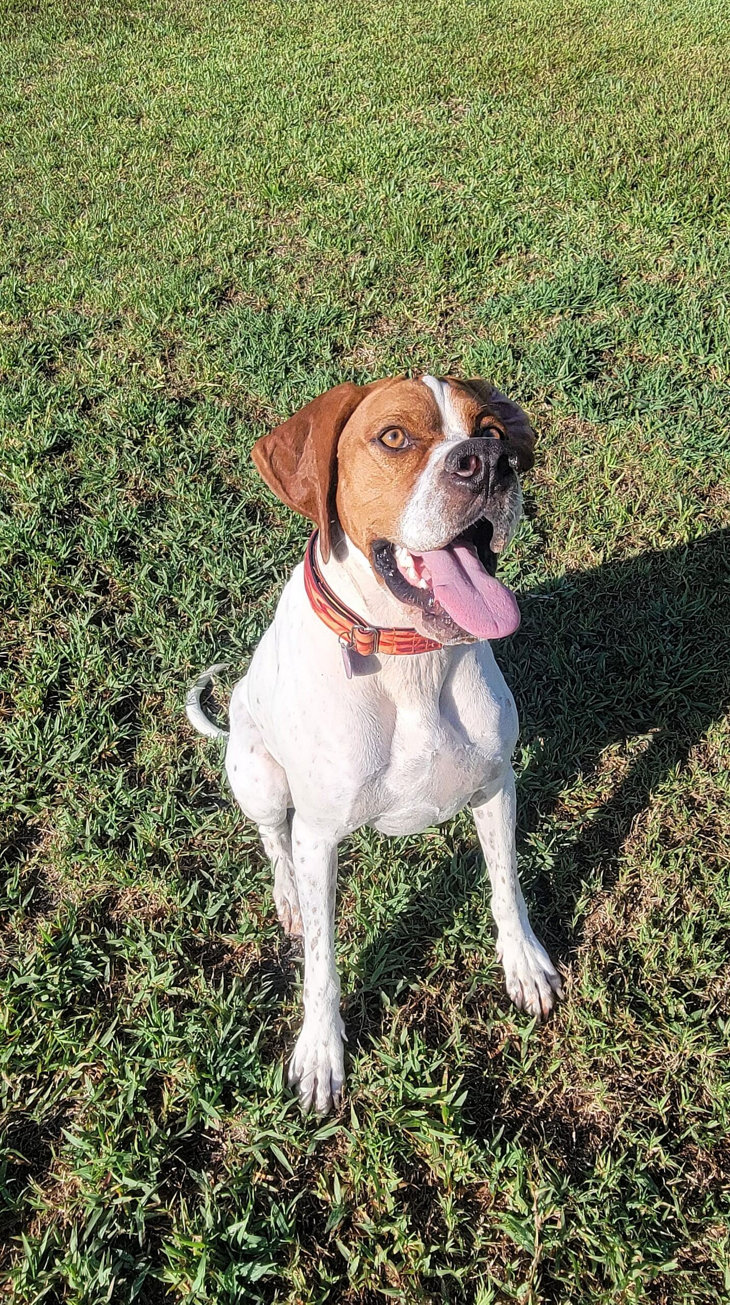 Zeke