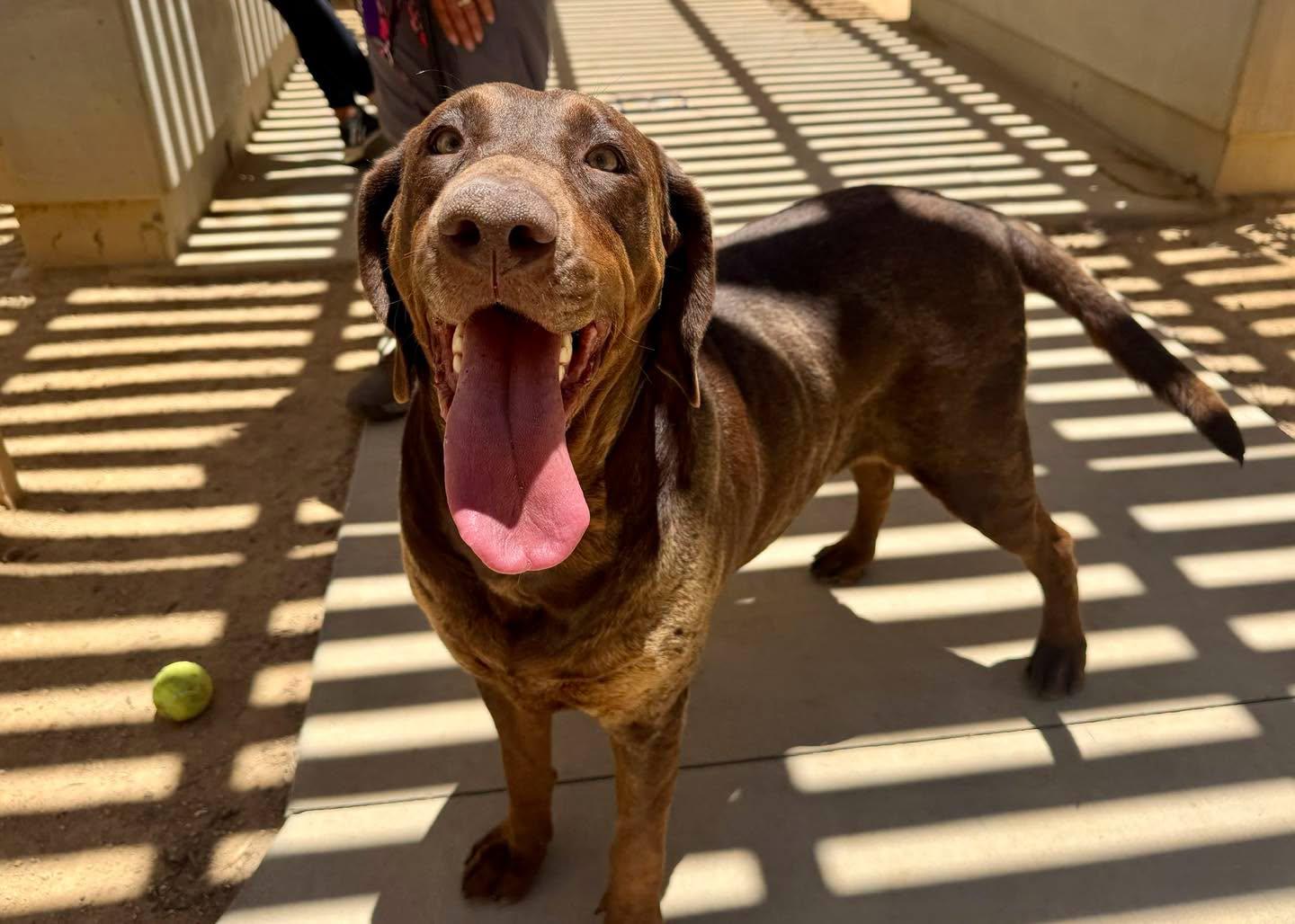Heidi