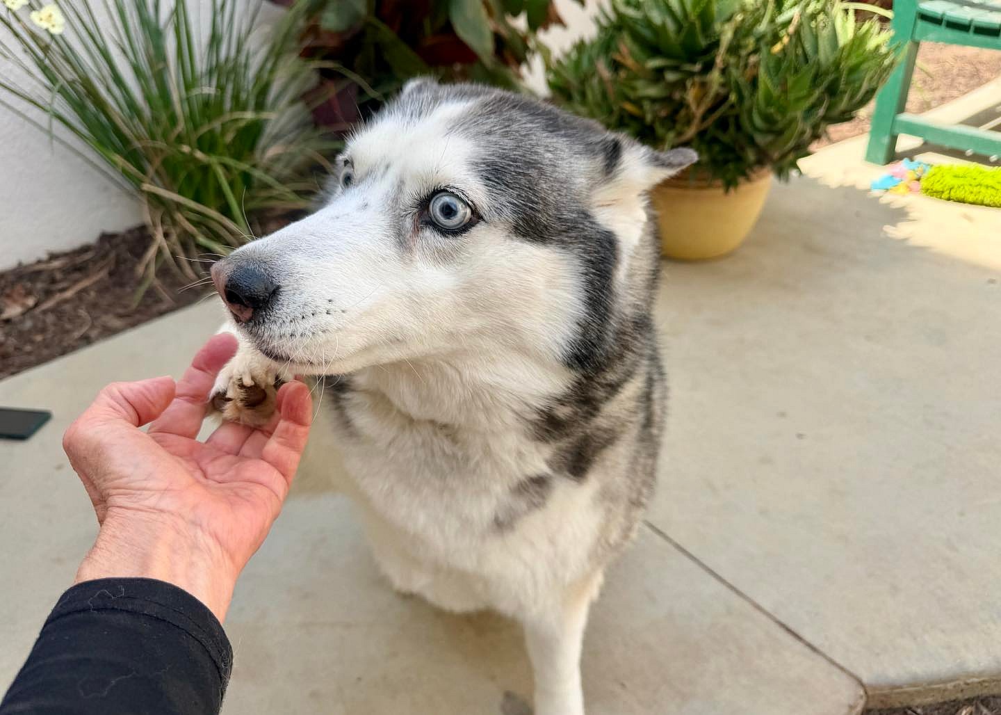 Kira