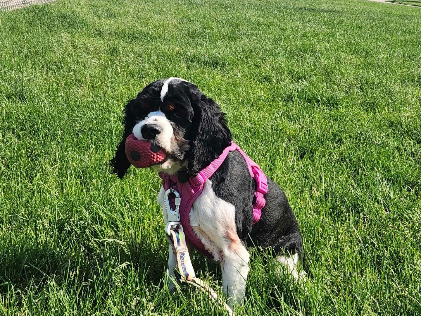 Violet & Lola
