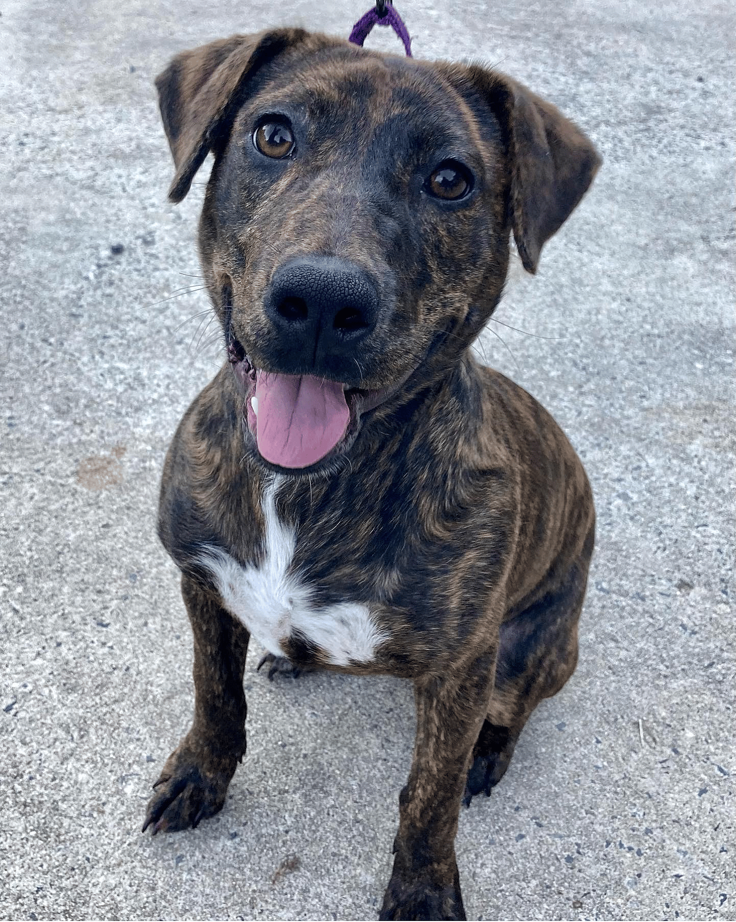 Saoirse (pronounced Sur-Sha)