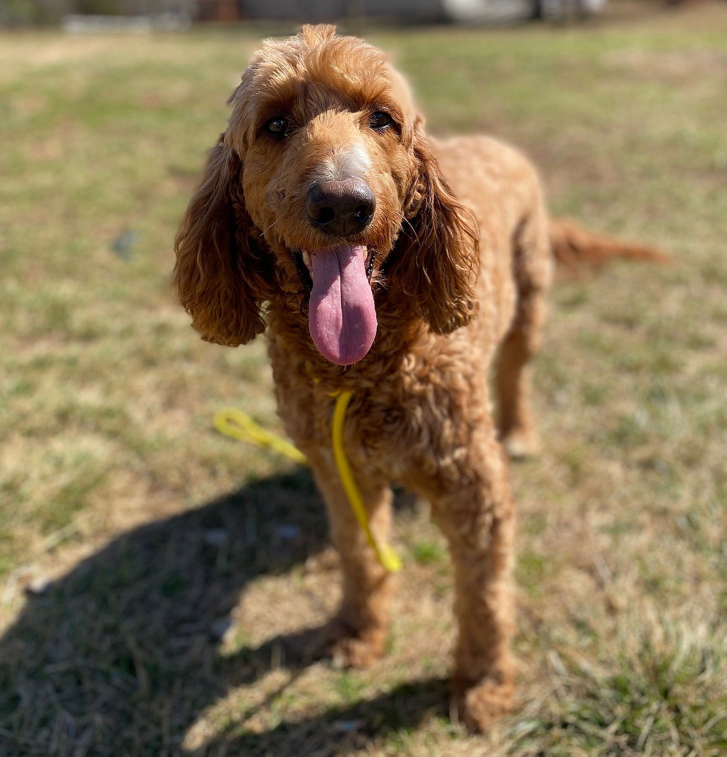 Lady Bug Autumn Jan 25