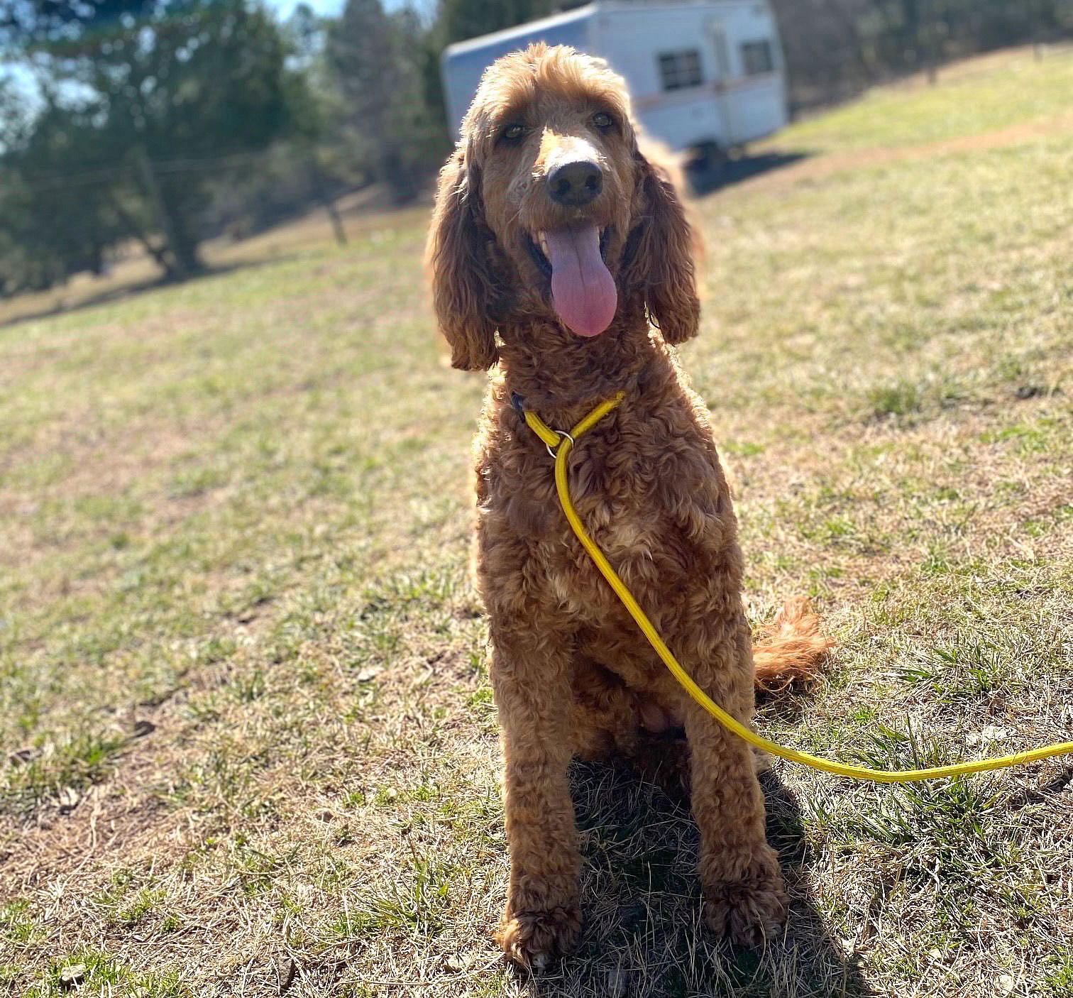 Lady Bug Autumn Jan 25