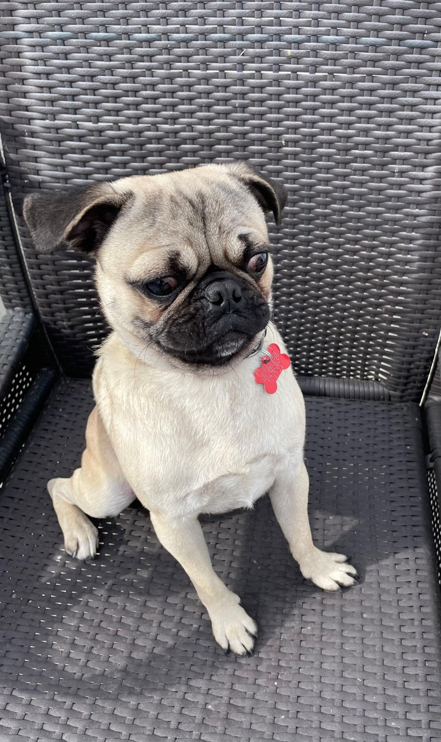 Zito