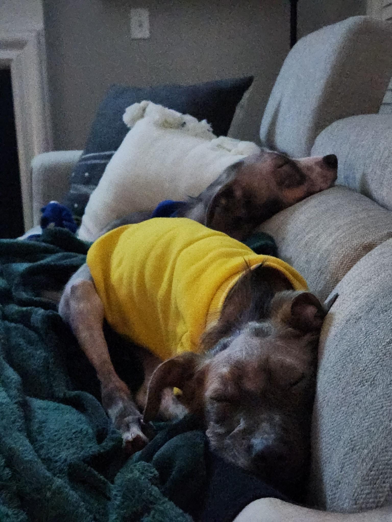 Chico and Otis