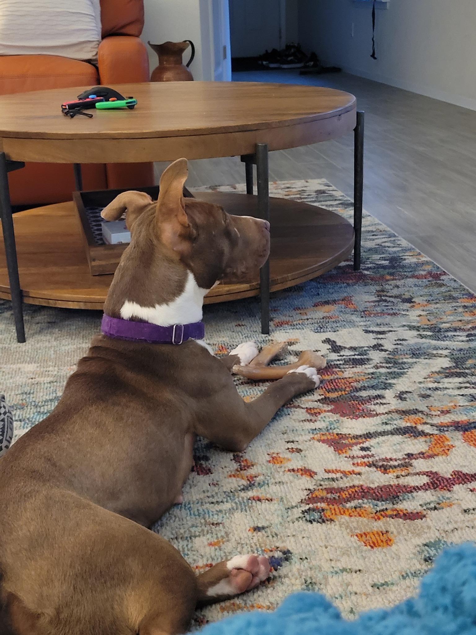 Zoey
