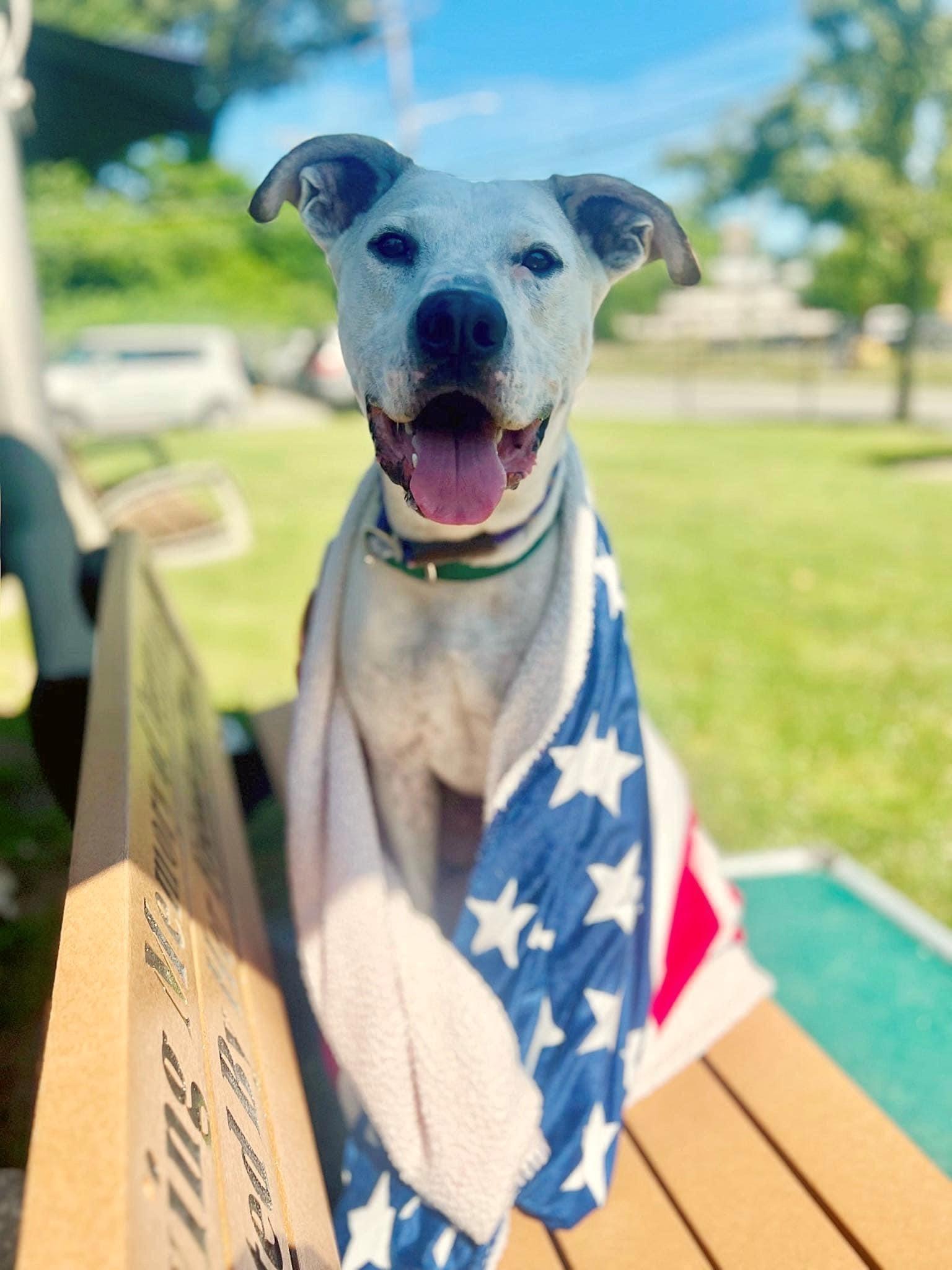 Mikey up for Adoption