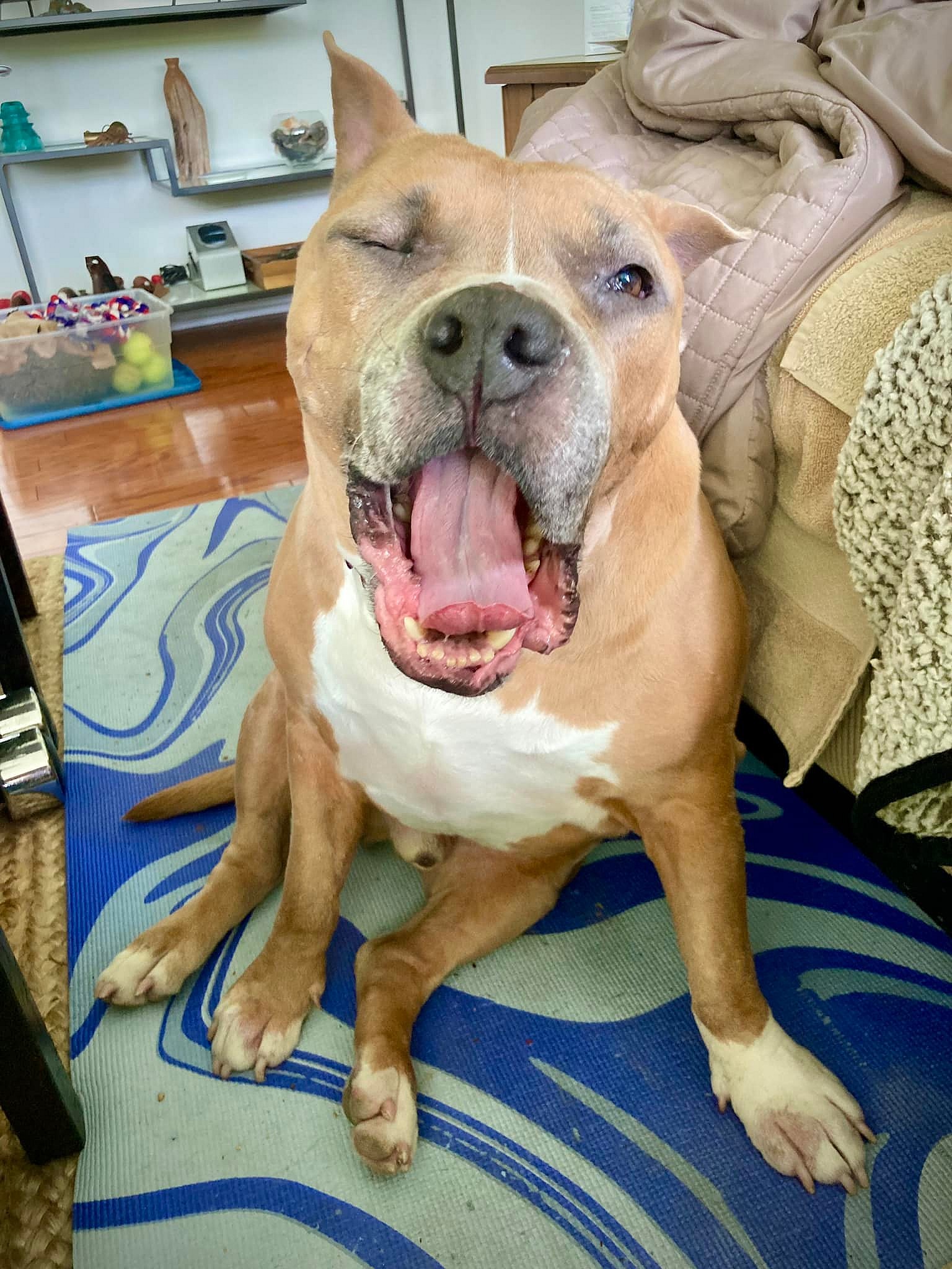 Tucker