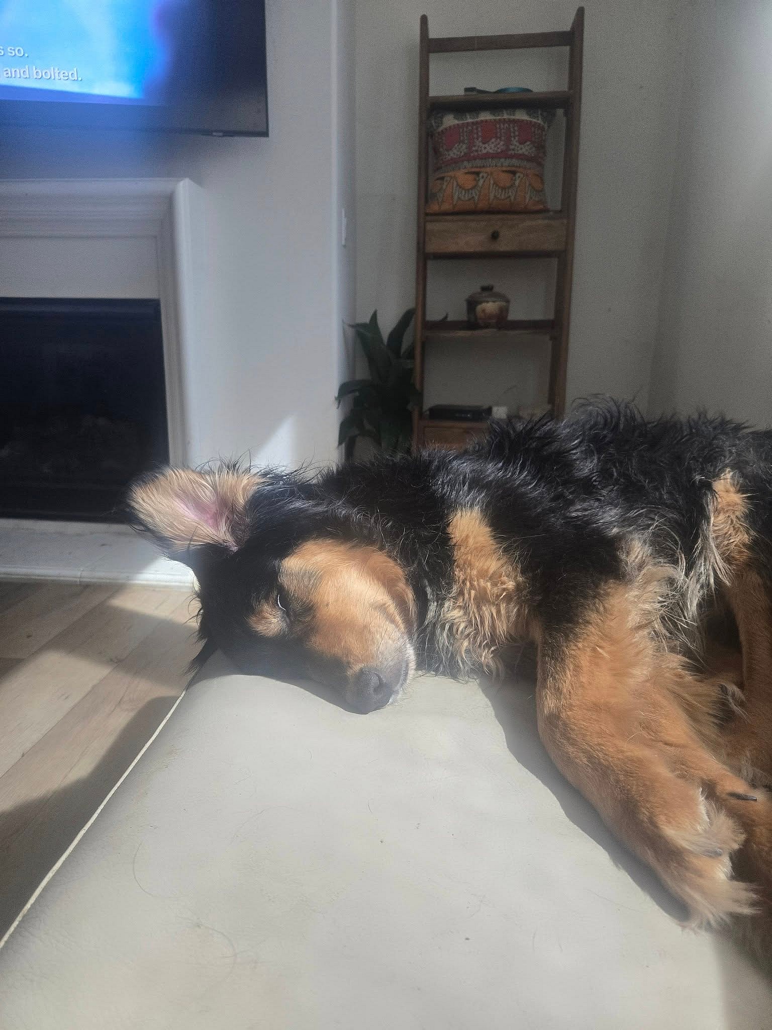 RIV 4 - Hatch - Shepherd