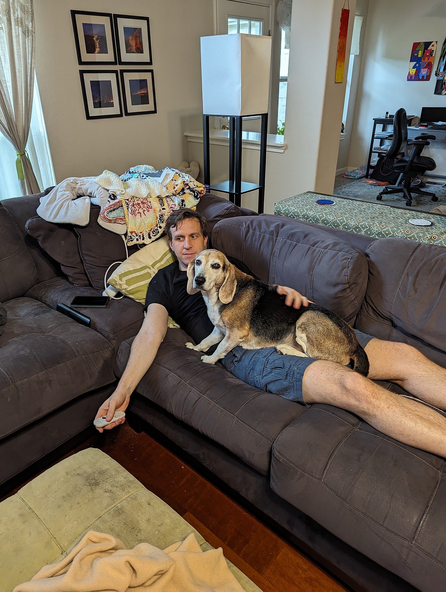 Snoopy up for Adoption