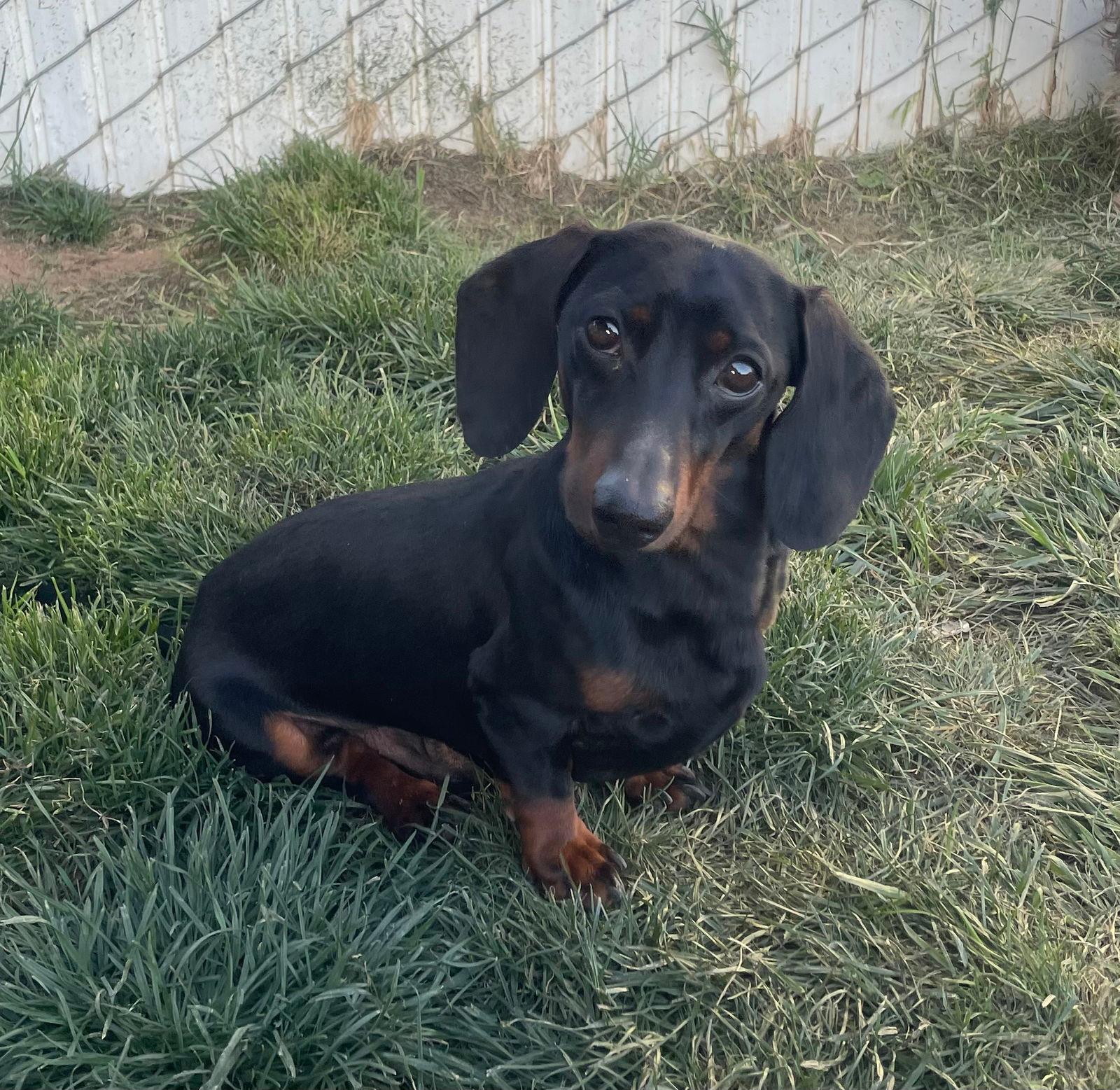 Bailey