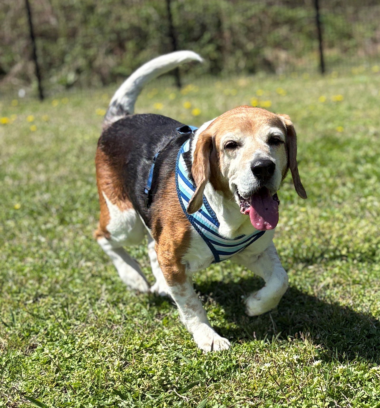 2503-1081 Kickz (Off Site Foster)