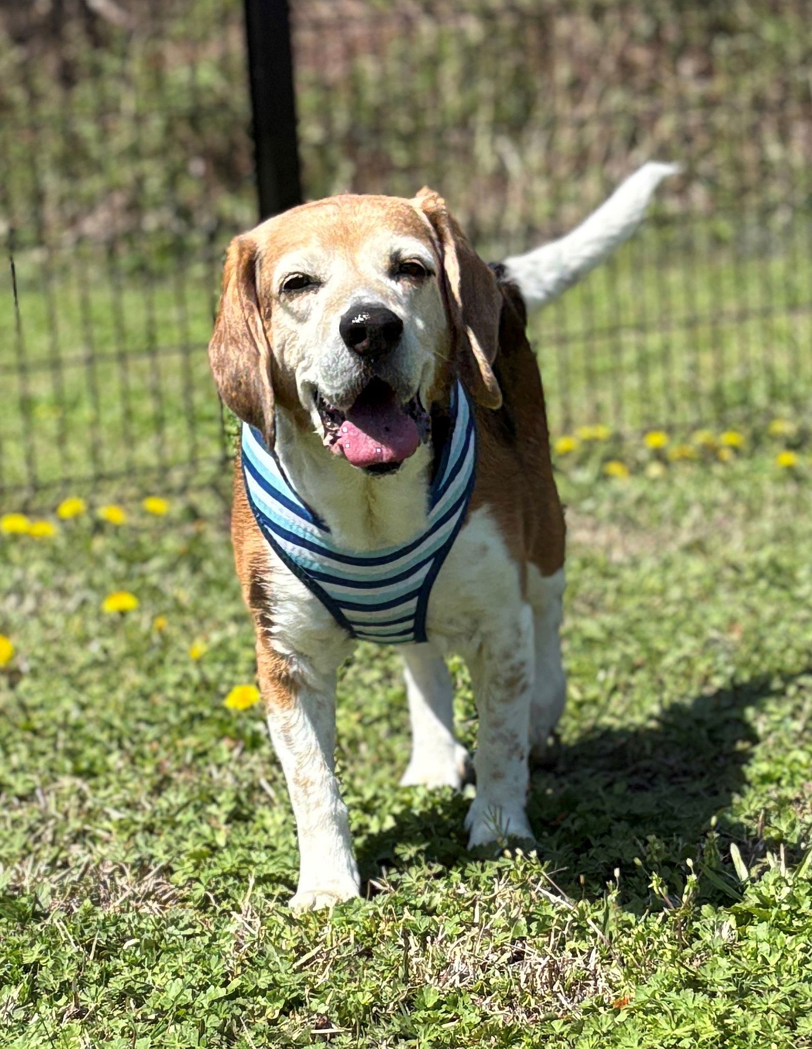 2503-1081 Kickz (Off Site Foster)