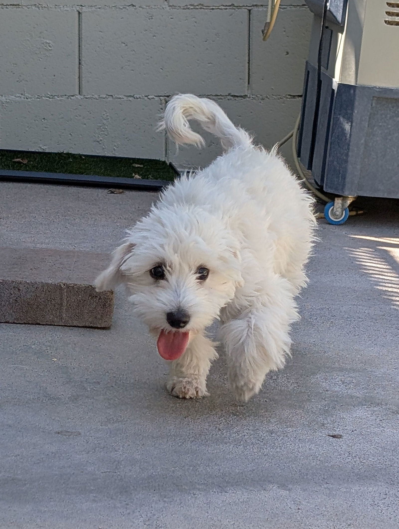 Baxter