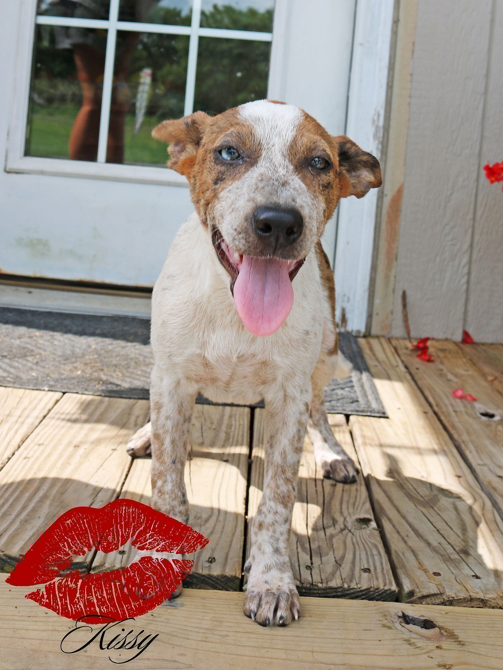 Kissy Magness *LOCAL*