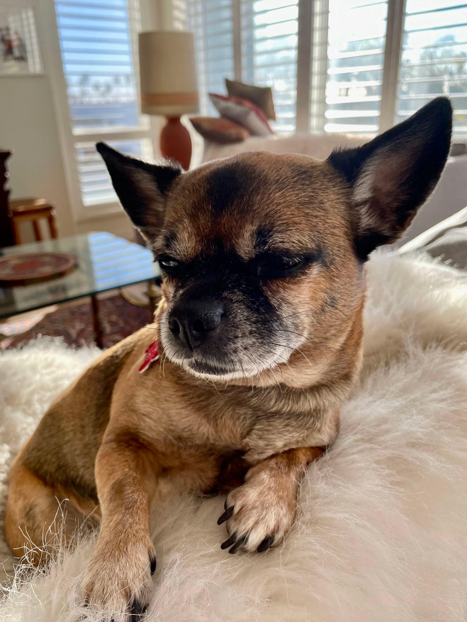 Maddie