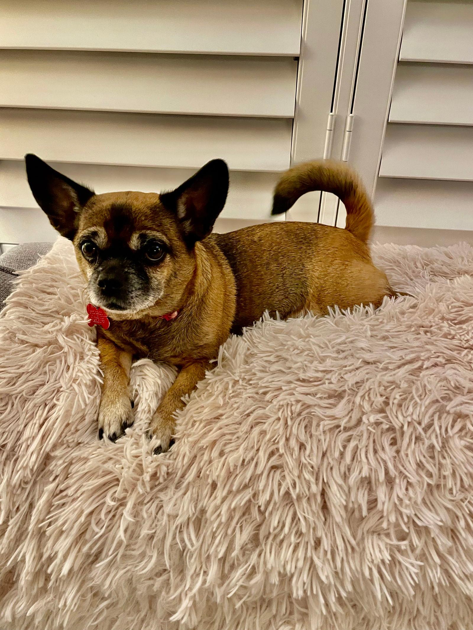 Maddie
