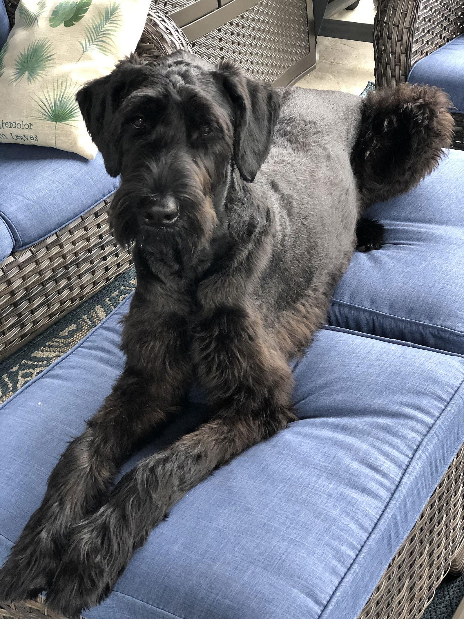 BAKER (COURTESY POST)