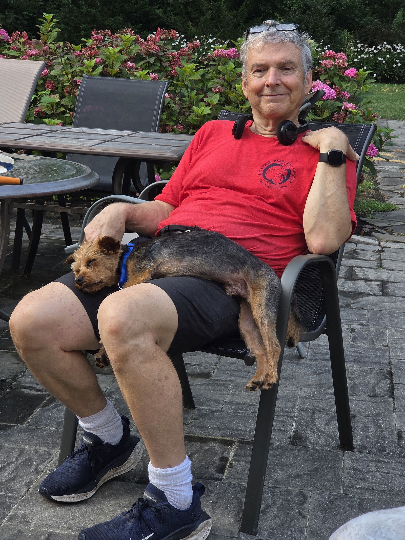 Kody - Kind Cutie! - Yorkshire Terrier Yorkie