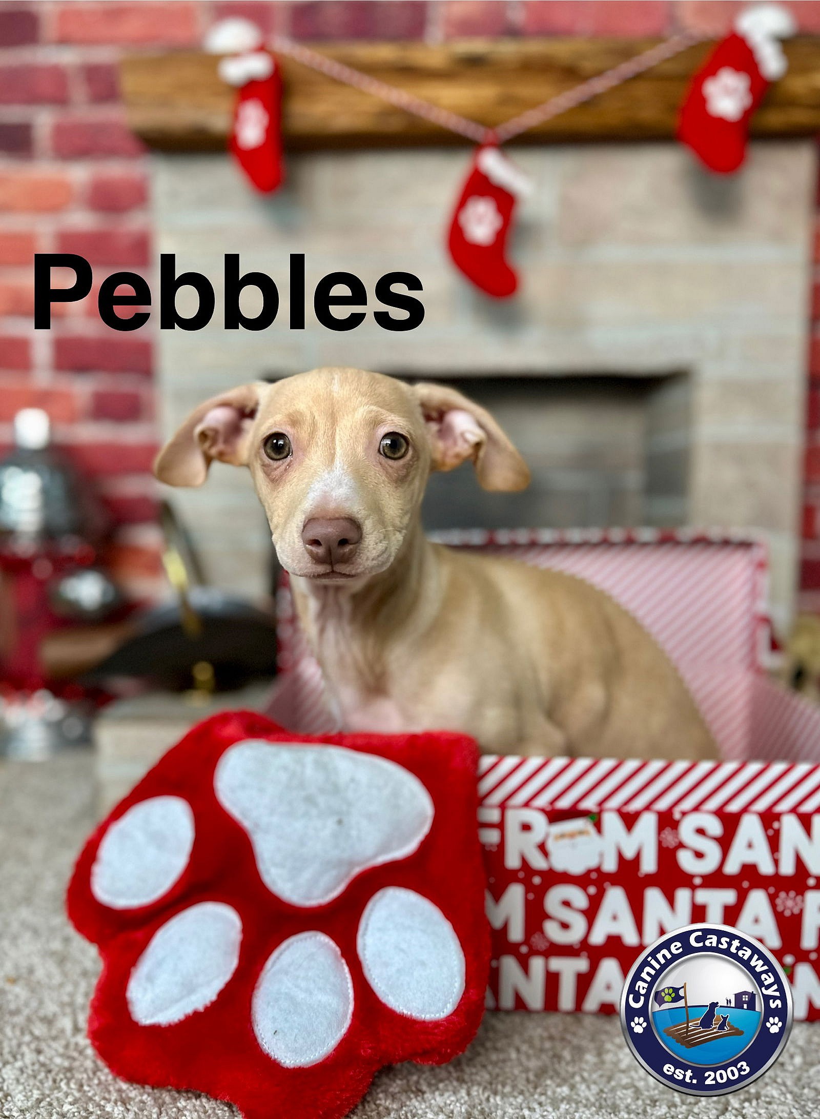 Pebbles