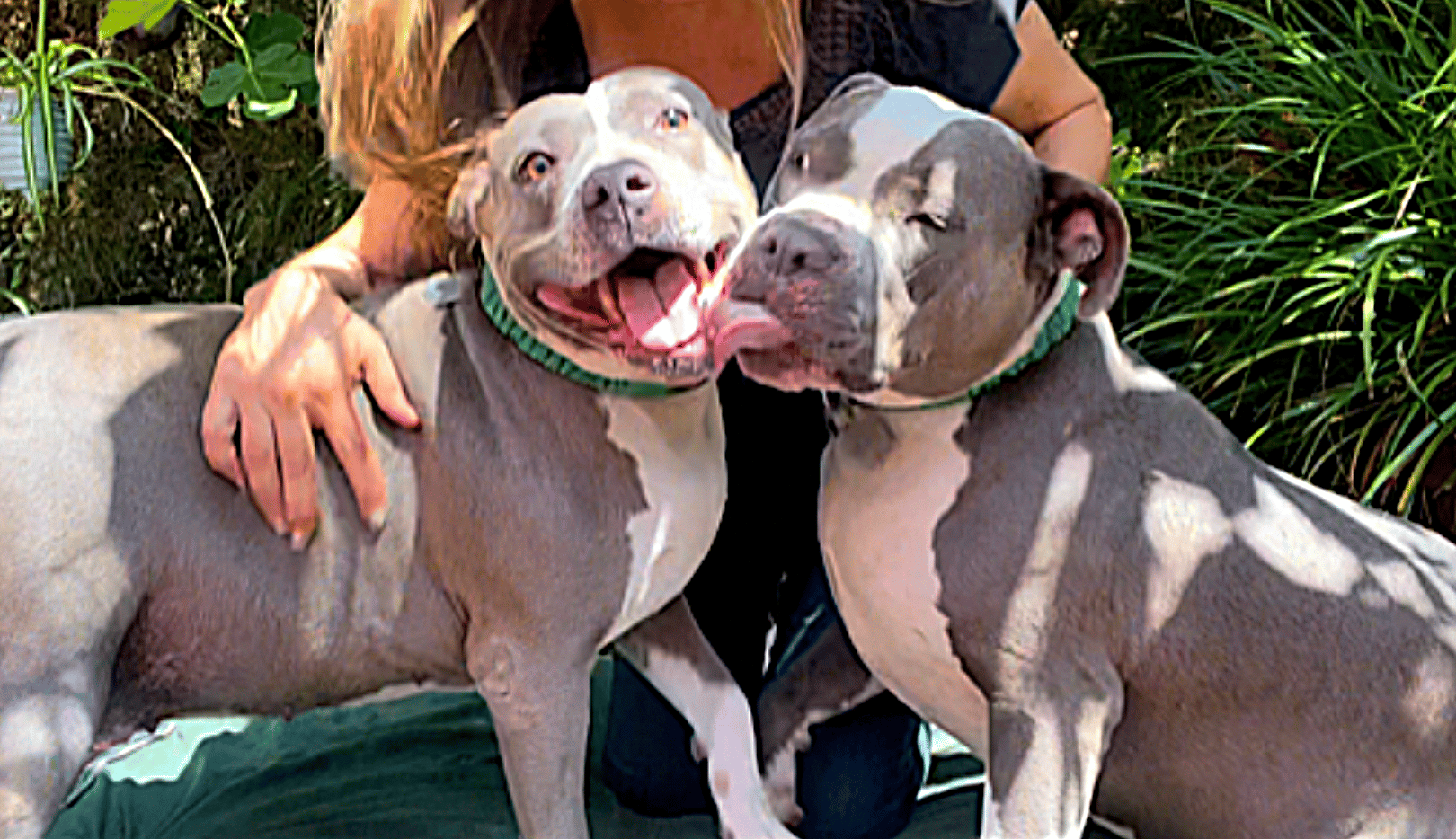 Moochie (& Mama)