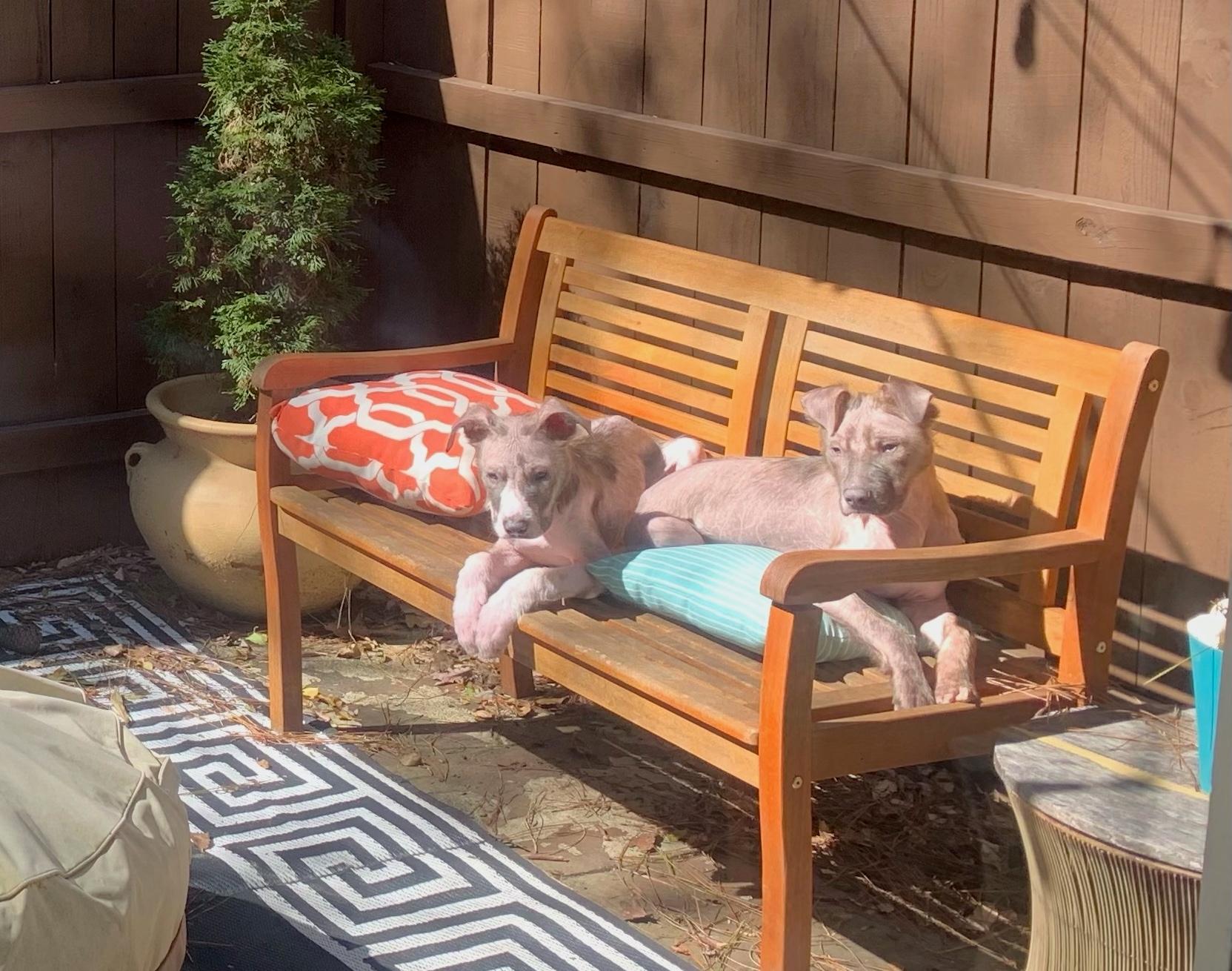 Chico and Otis