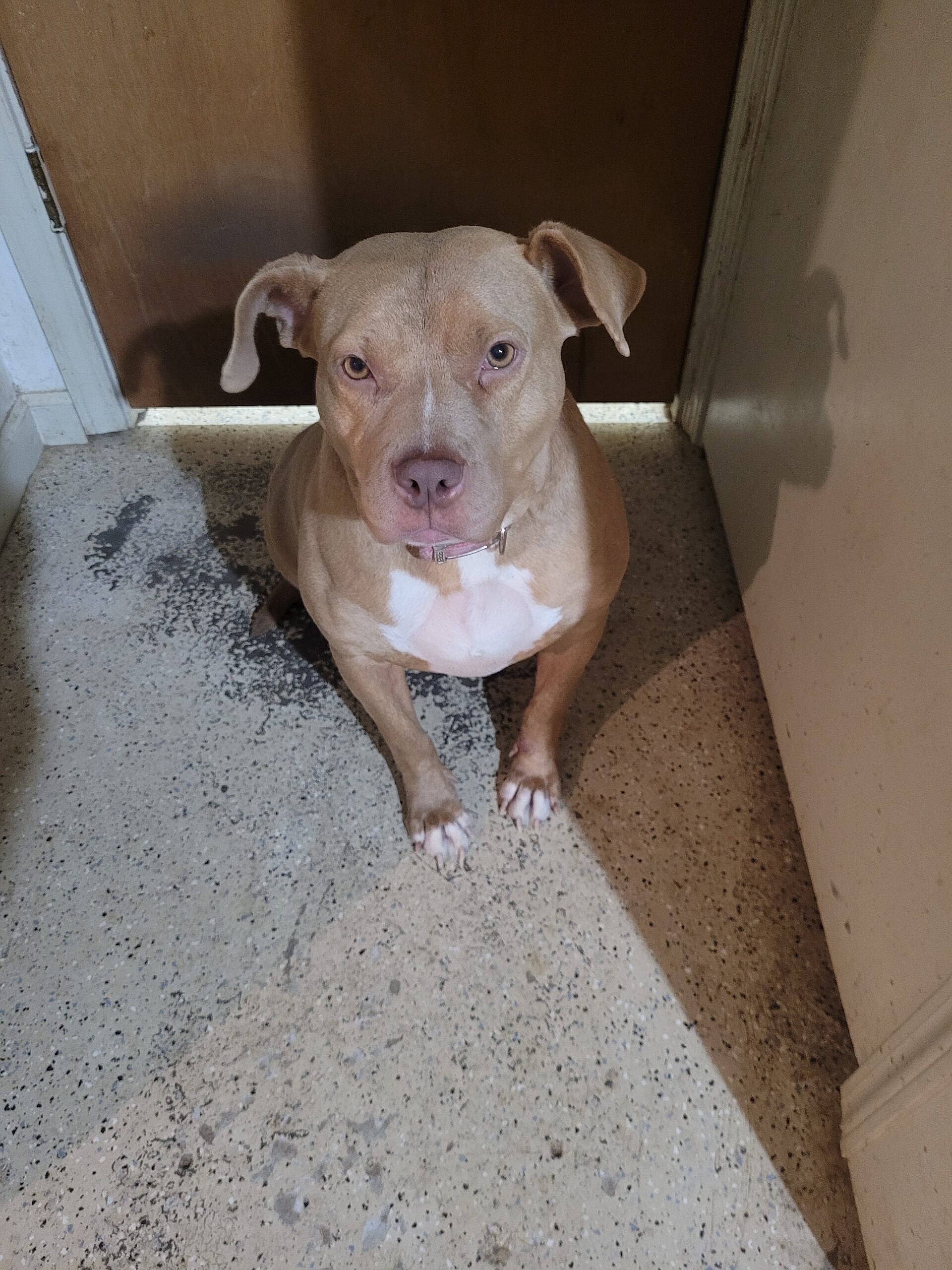 Roxy