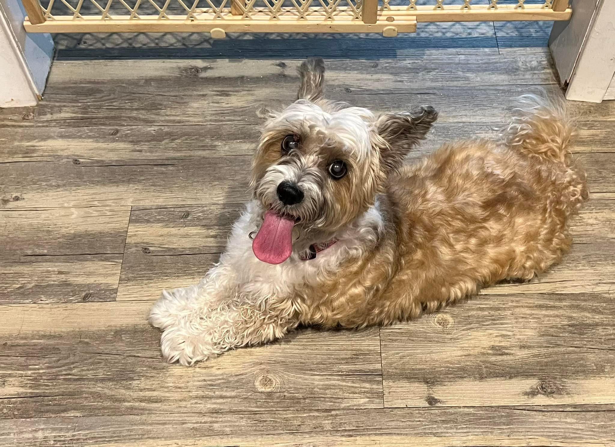 Ms. Gracie