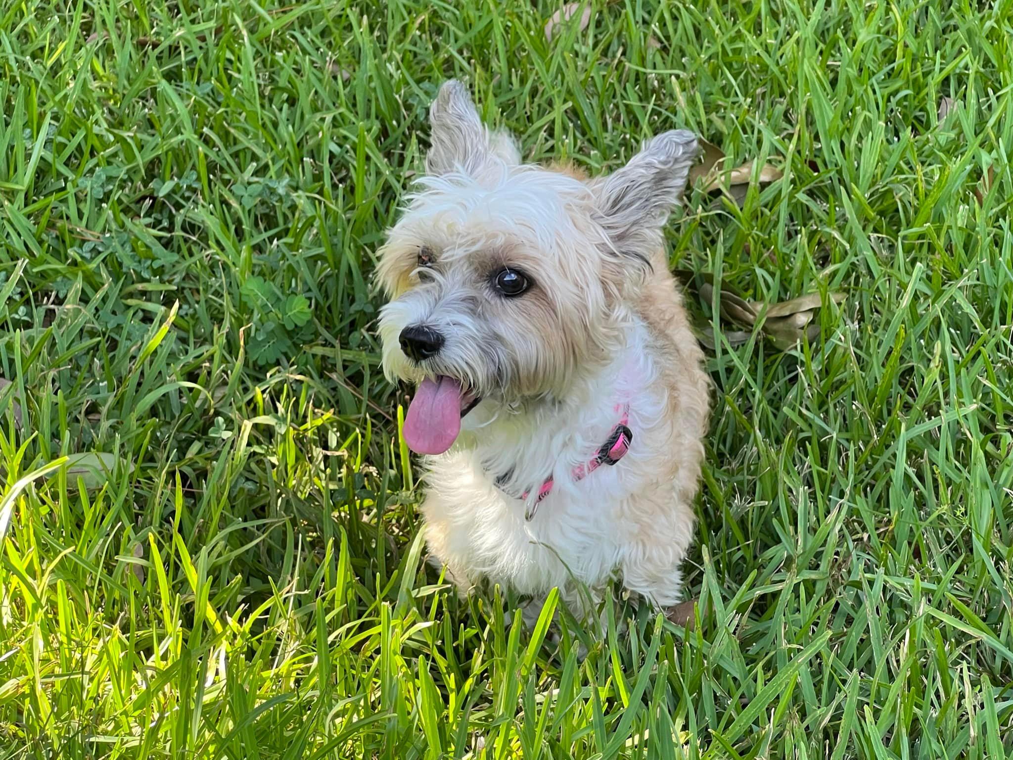 Ms. Gracie