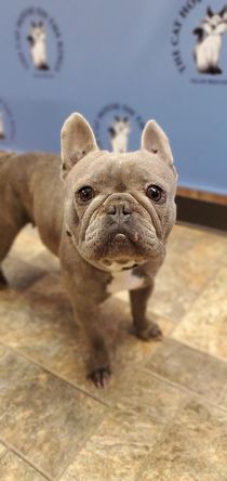 Lola