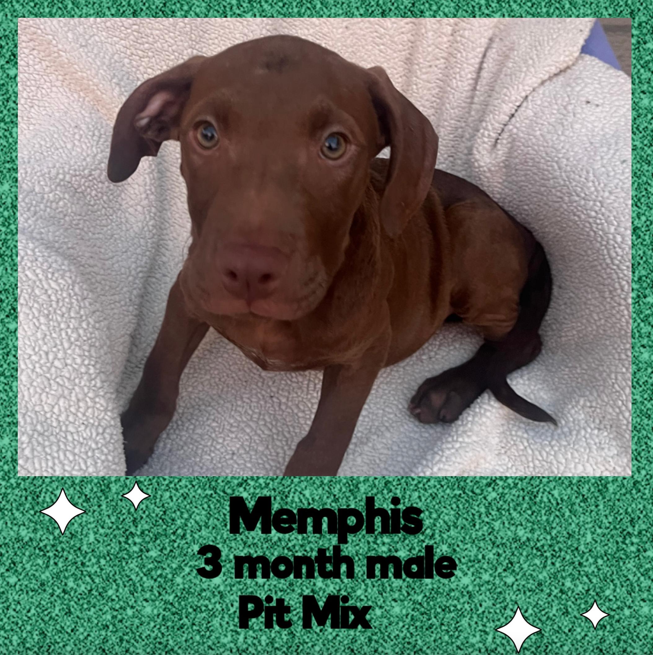 Memphis