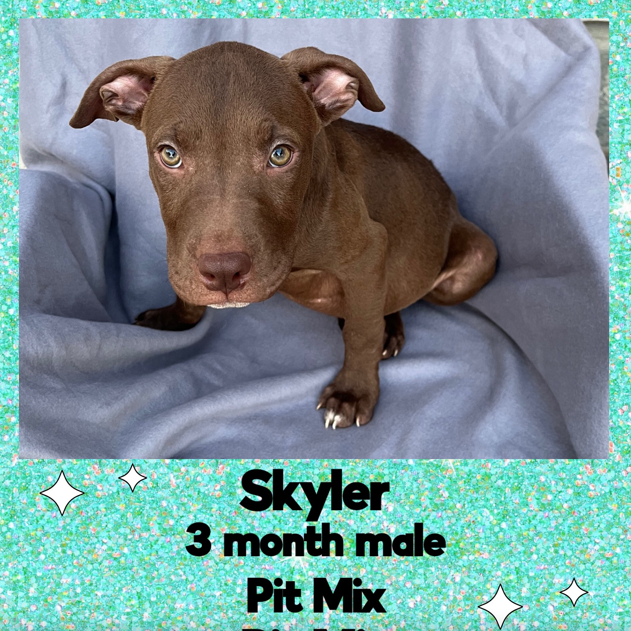 Skyler