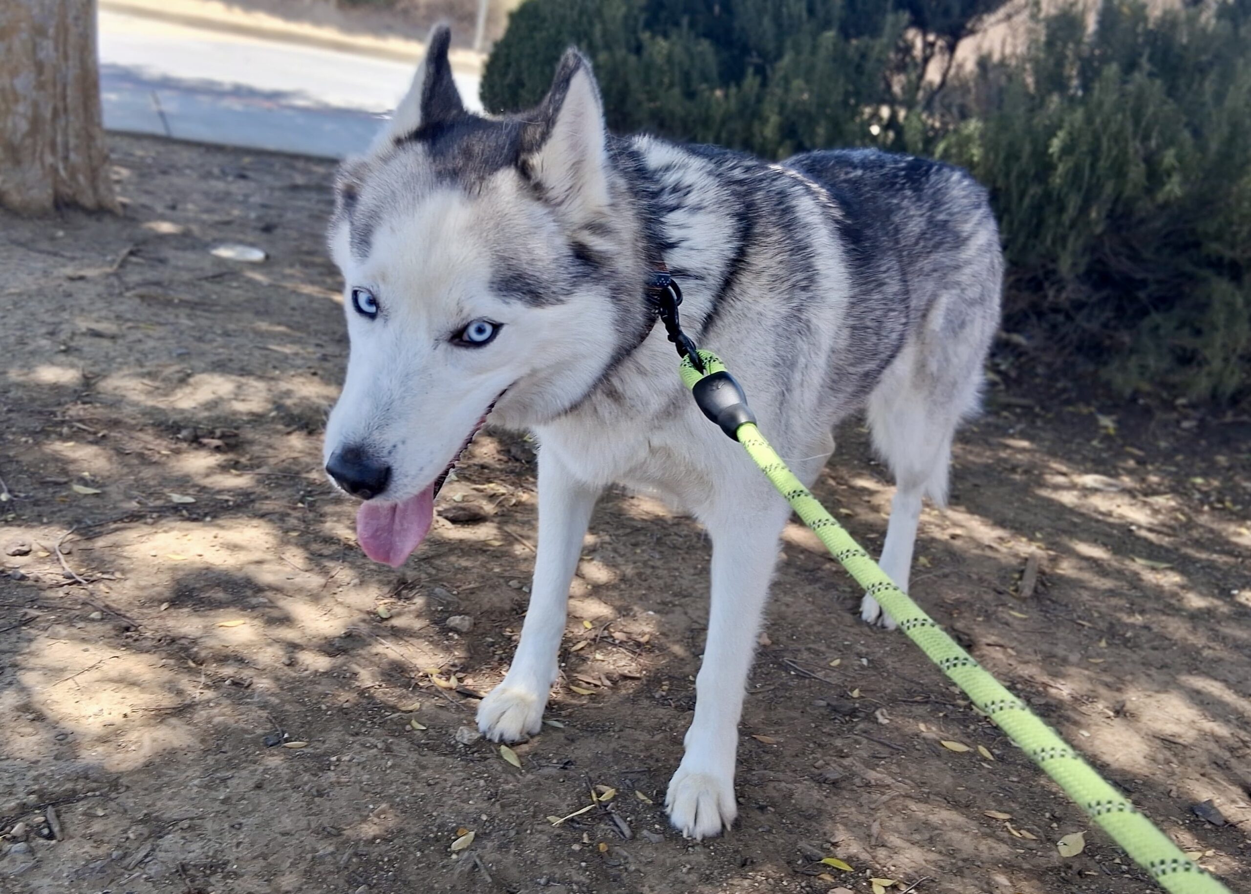 Luna