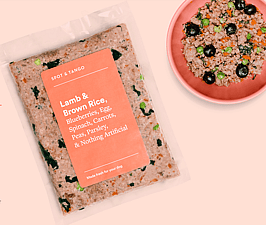 alternative food for Chicken Allergy in Dogs