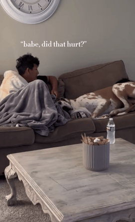 Move Over, Lap Dogs! This Great Dane Thinks He's Tiny and the Results Are Hilarious!